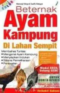 Image of BETERNAK AYAM KAMPUNG DI LAHAN SEMPIT